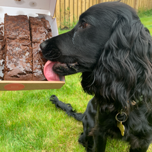 Load image into Gallery viewer, Pet-Friendly Brownies
